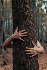 Hands around a tree trunk